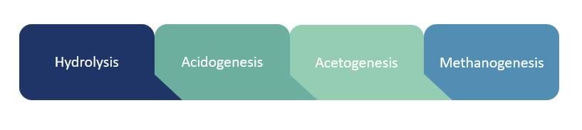 anaerobic digestion steps