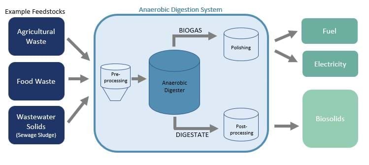 anaerobic-digestion-system